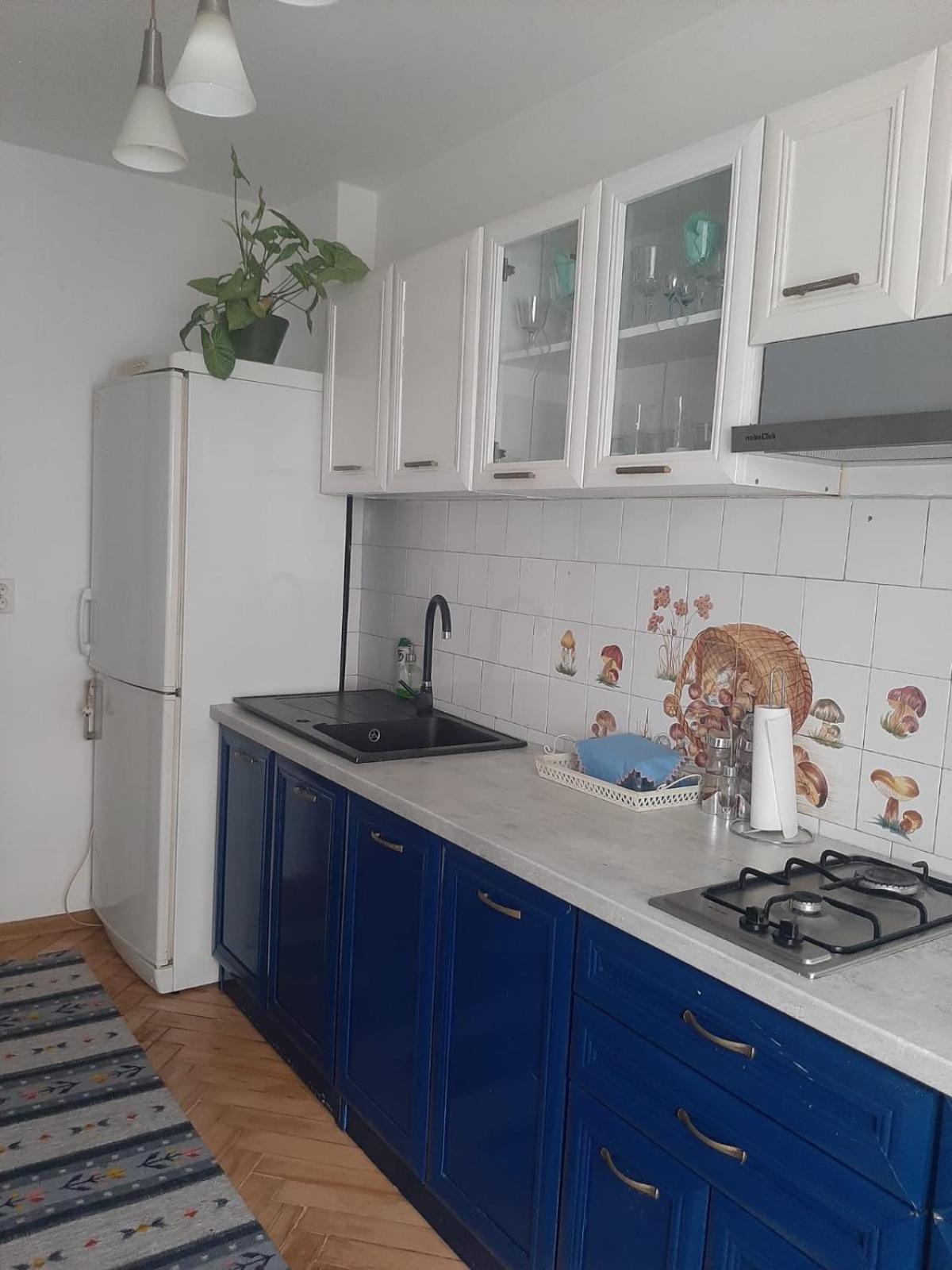 Mari&Vio Apartment Клуж-Напока Экстерьер фото